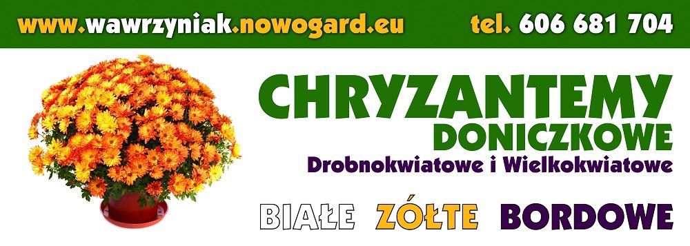 Ogórki