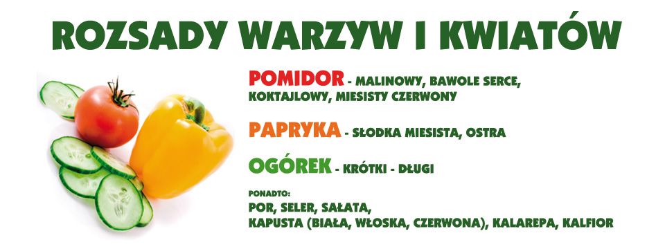 Pomidory